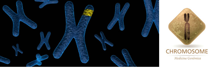 Ion ReproSeq – NGS Overnight - 24h