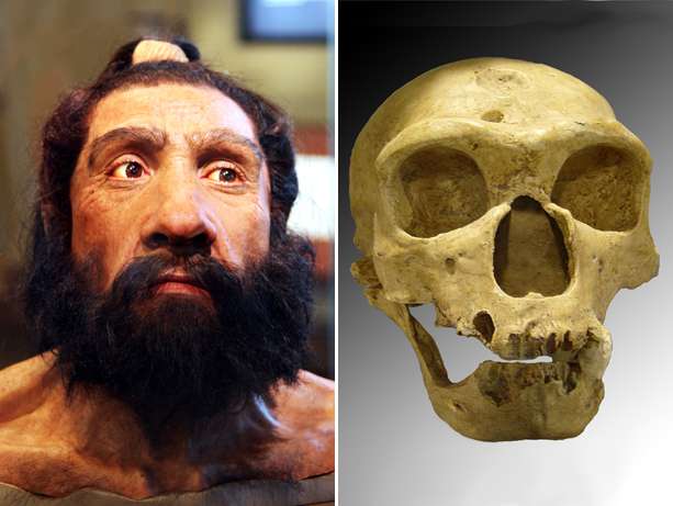 A reconstrução da cabeça de um homem Neanderthal, à esquerda, e um crânio Neanderthal. 