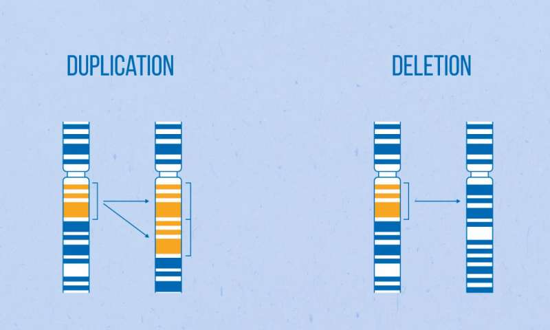 Clínica Ciro Martinhago rearrangements deletions and duplications -- mean that the number of copies of different genes varies and can be unique to each person. Credit: MIPT's Press Office