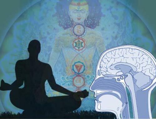 Estudo sugere que meditação e Ioga podem ‘reverter’ reações do DNA que causam stress.