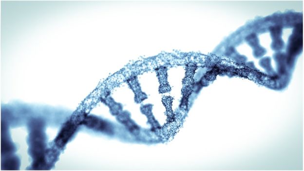 As instruções para a vida estão codificadas no seu DNA