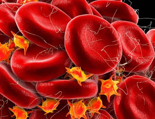 FDA aprova tratamento de US$ 35 milhões para hemofilia